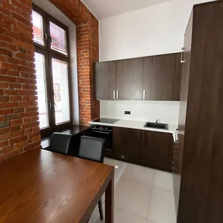 Apartment Aparthotel Lodz 55 Piotrkowska Lodz (Lodz)